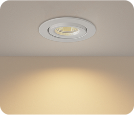 Down Light Housing Real
